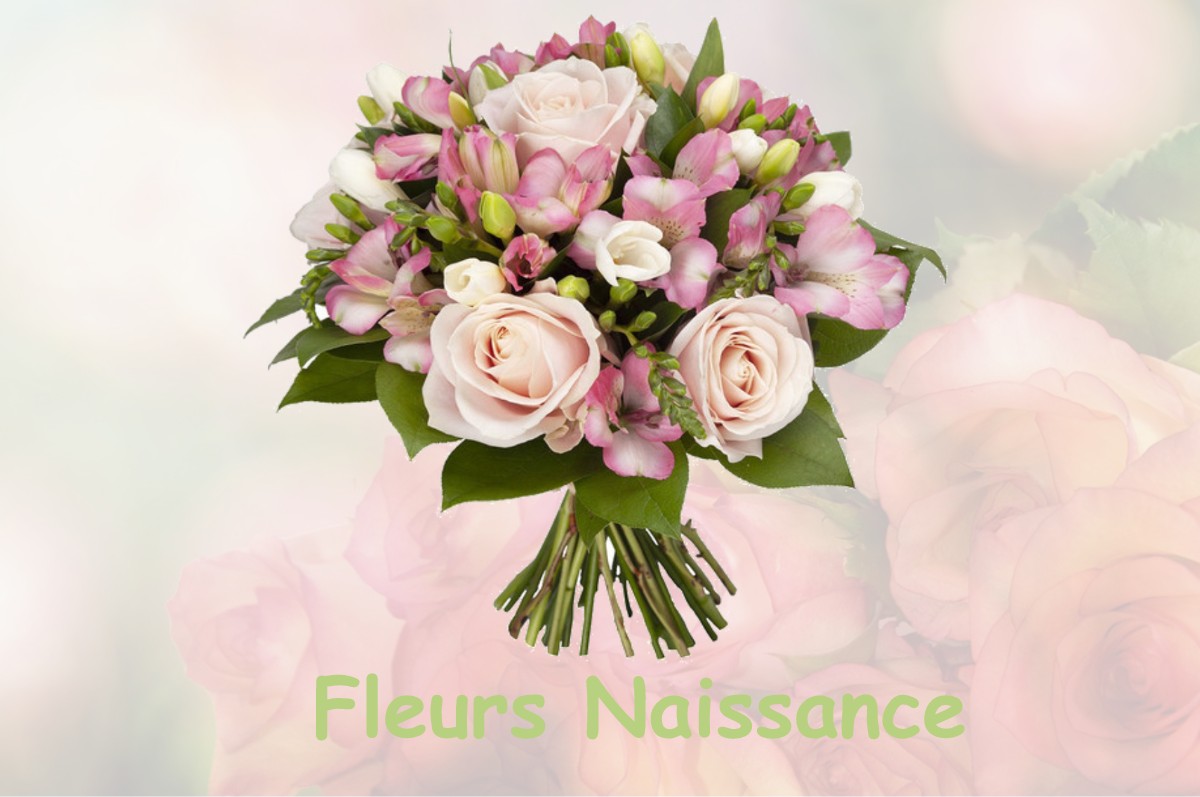 fleurs naissance SAINT-PAUL-AUX-BOIS